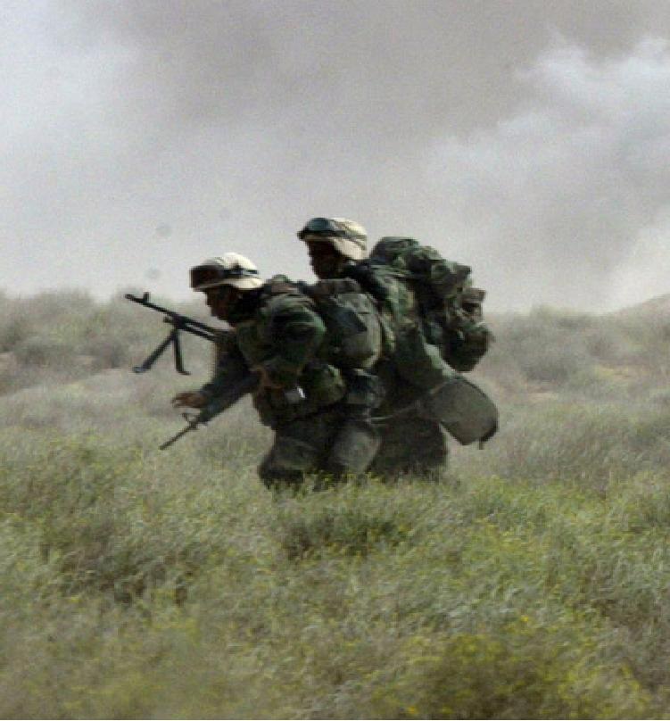 Arty and F Co Marines